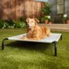 Frisco Steel-Framed Elevated Dog Bed