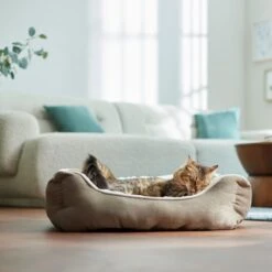 Frisco Rectangular Bolster Cat & Dog Bed -Chewy 113275 PT2. AC SS1800 V1657655271