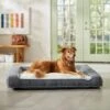 Frisco Plush Orthopedic Bolster Dog Bed W/Removable Cover -Chewy 129511 MAIN. AC SS1800 V1674157635