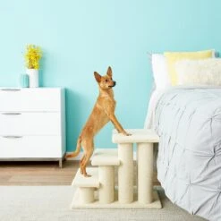 Frisco 18.5 Or 24.5 Inch 2-in-1 Cat & Dog Stairs -Chewy 140154 PT6. AC SS1800 V1584453442
