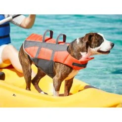 Frisco Ripstop Dog Life Jacket 18 Frisco Ripstop Dog Life Jacket -Chewy 140919 PT7. AC SS1800 V1631051825