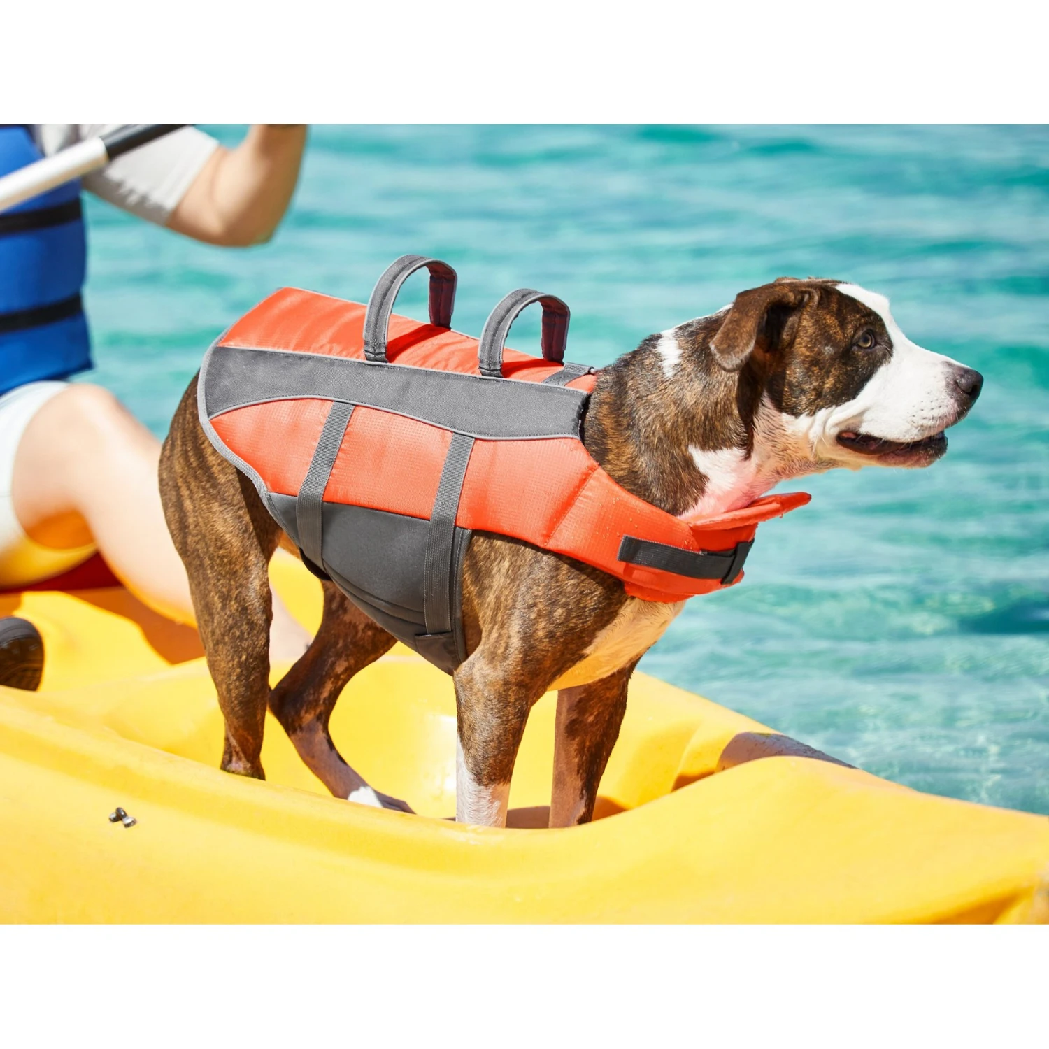 Frisco Ripstop Dog Life Jacket 10 Frisco Ripstop Dog Life Jacket - Image 8