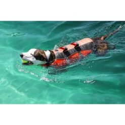 Frisco Ripstop Dog Life Jacket 19 Frisco Ripstop Dog Life Jacket -Chewy 140919 PT8. AC SS1800 V1540476454