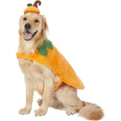 Frisco Pumpkin Dog & Cat Costume -Chewy 144446 PT2. AC SS1800 V1567174700