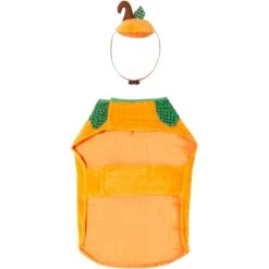 Frisco Pumpkin Dog & Cat Costume -Chewy 144446 PT4. AC SS1800 V1567176587