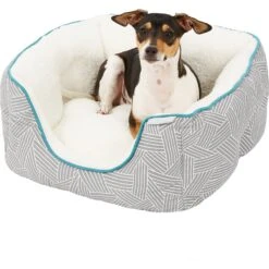 Frisco Square Deep Bolster Cat & Dog Bed -Chewy 144829 PT4. AC SS1800 V1578442895