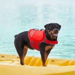Frisco Neoprene Dog Life Jacket 18 Frisco Neoprene Dog Life Jacket -Chewy 152465 PT7. AC SS1800 V1631058734