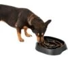 Frisco Non-Skid Slow Feeder Dog & Small Pet Bowl -Chewy 155648 MAIN. AC SS1800 V1578432852