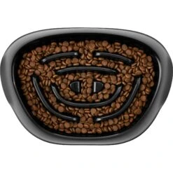 Frisco Non-Skid Slow Feeder Dog & Small Pet Bowl -Chewy 155648 PT2. AC SS1800 V1553539021