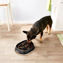 Frisco Non-Skid Slow Feeder Dog & Small Pet Bowl -Chewy 155648 PT4. AC SS1800 V1553538724