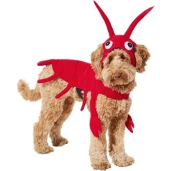 Frisco Red Lobster Dog & Cat Costume -Chewy 158723 PT2. AC SS1800 V1659023725