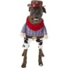 Frisco Front Walking Cowboy Dog & Cat Costume 2 Frisco Front Walking Cowboy Dog & Cat Costume -Chewy 158842 Main. AC SS1800 V1564408627