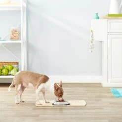 Frisco Non-Skid Stainless Steel Bowl -Chewy 159860 PT3. AC SS1800 V1570543131