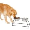 Frisco Pyramid Elevated Stainless Steel Double Diner Dog & Cat Bowl 1 Frisco Pyramid Elevated Stainless Steel Double Diner Dog & Cat Bowl -Chewy 159884 MAIN. AC SS1800 V1583424776