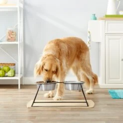 Frisco Pyramid Elevated Stainless Steel Double Diner Dog & Cat Bowl -Chewy 159884 PT3. AC SS1800 V1561123346