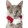 Frisco Jingle Bells Dog & Cat Holiday Collar With Bells, 1 Count -Chewy 160063 MAIN. AC SS1800 V1663948848