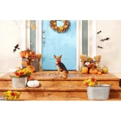 Frisco Vampire Cape Dog & Cat Costume -Chewy 160793 PT3. AC SS1800 V1567176564