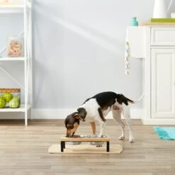 Frisco Wood Elevated Stainless Steel Double Diner Dog & Cat Bowl 8 Frisco Wood Elevated Stainless Steel Double Diner Dog & Cat Bowl -Chewy 161144 PT3. AC SS1800 V1561641426