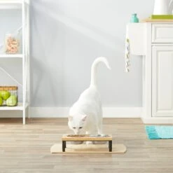 Frisco Wood Elevated Stainless Steel Double Diner Dog & Cat Bowl 9 Frisco Wood Elevated Stainless Steel Double Diner Dog & Cat Bowl -Chewy 161144 PT4. AC SS1800 V1561641433