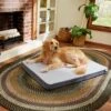 Frisco Cooling Orthopedic Pillow Dog Bed W/Removable Cover -Chewy 210223 MAIN. AC SS1800 V1590067616