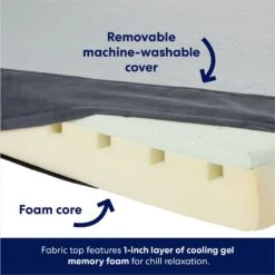 Frisco Cooling Orthopedic Pillow Dog Bed W/Removable Cover -Chewy 210223 PT3. AC SS1800 V1700243663