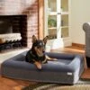 Frisco Orthopedic Rectangular Bolster Cat & Dog Bed W/Removable Cover 1 Frisco Orthopedic Rectangular Bolster Cat & Dog Bed W/Removable Cover -Chewy 210226 MAIN. AC SS1800 V1590067652