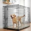 Frisco Heavy Duty Single Door Wire Dog Crate -Chewy 210677 MAIN. AC SS1800 V1660404765