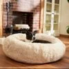 Frisco Eyelash Cat & Dog Bolster Bed 1 Frisco Eyelash Cat & Dog Bolster Bed -Chewy 210771 MAIN. AC SS1800 V1589289120