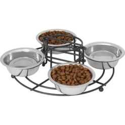 Frisco Multi Pet Feeding 4-Bowls Stainless Steel Dog & Cat Bowls, 0.5 Cup -Chewy 213787 PT2. AC SS1800 V1598450208