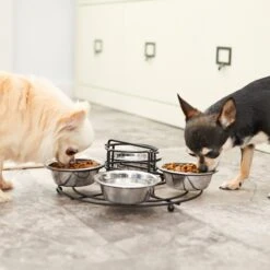 Frisco Multi Pet Feeding 4-Bowls Stainless Steel Dog & Cat Bowls, 0.5 Cup -Chewy 213787 PT7. AC SS1800 V1599090064