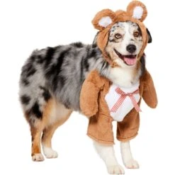 Frisco Front Walking Teddy Bear Dog & Cat Costume 13 Frisco Front Walking Teddy Bear Dog & Cat Costume -Chewy 215507 PT3. AC SS1800 V1624402415
