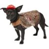 Frisco Zombie Dog & Cat Costume 2 Frisco Zombie Dog & Cat Costume -Chewy 215624 MAIN. AC SS1800 V1595615464