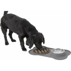 Frisco Silicone Slow Feeder Mat With Stainless Steel Bowl -Chewy 215983 PT5. AC SS1800 V1605666752