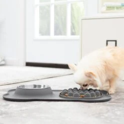 Frisco Silicone Slow Feeder Mat With Stainless Steel Bowl -Chewy 215983 PT6. AC SS1800 V1605666801