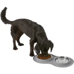 Frisco Double Stainless Steel Pet Bowl With Silicone Mat 15 Frisco Double Stainless Steel Pet Bowl With Silicone Mat -Chewy 215986 PT5. AC SS1800 V1605652436