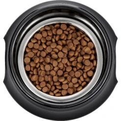 Frisco Stainless Steel Bowl With Elevated Stand -Chewy 216020 PT4. AC SS1800 V1591020427