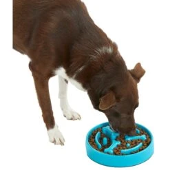 Frisco Bone Shaped Ridges Slow Feed Bowl -Chewy 216041 PT6. AC SS1800 V1605664049