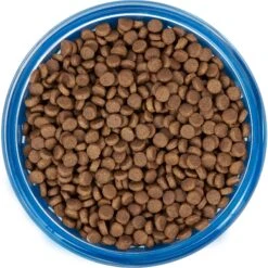 Frisco Chevron Design Glass Bowl With Silicone Sleeve -Chewy 216049 PT4. AC SS1800 V1591020735