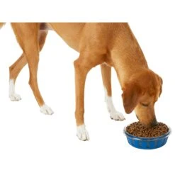 Frisco Chevron Design Glass Bowl With Silicone Sleeve -Chewy 216049 PT6. AC SS1800 V1605654757