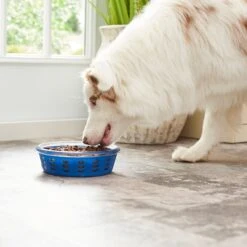 Frisco Chevron Design Glass Bowl With Silicone Sleeve -Chewy 216049 PT7. AC SS1800 V1605664319