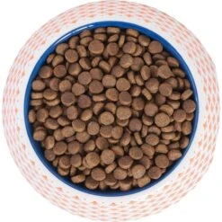 Frisco Southwest Melamine Bowl -Chewy 216064 PT4. AC SS1800 V1591021009