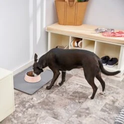 Frisco Southwest Melamine Bowl -Chewy 216064 PT7. AC SS1800 V1605653262