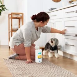 Frisco Vinegar Cleaning Wipes, 70 Count -Chewy 222151 PT4. AC SS1800 V1602847932