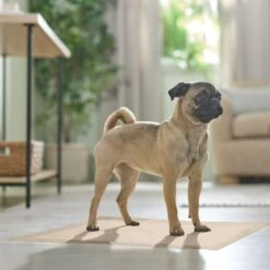 Frisco Large Eco-Conscious Dog Training & Potty Pads -Chewy 227438 PT6. AC SS1800 V1674665619