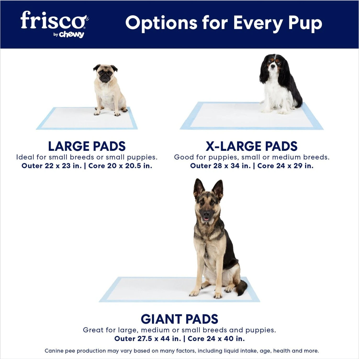 Frisco Charcoal Dog Training & Potty Pads 6 Frisco Charcoal Dog Training & Potty Pads - Image 4