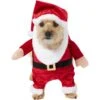 Frisco Front Walking Santa Dog & Cat Costume, 1 Count -Chewy 228785 MAIN. AC SS1800 V1631300256