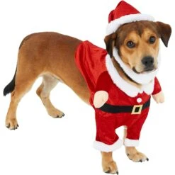 Frisco Front Walking Santa Dog & Cat Costume, 1 Count -Chewy 228785 PT3. AC SS1800 V1631300866