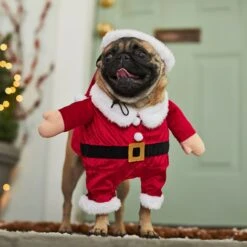 Frisco Front Walking Santa Dog & Cat Costume, 1 Count -Chewy 228785 PT7. AC SS1800 V1601560869