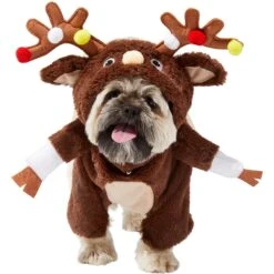 Frisco Front Walking Reindeer Dog & Cat Costume, 1 Count -Chewy 228790 PT2. AC SS1800 V1636731101