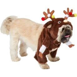 Frisco Front Walking Reindeer Dog & Cat Costume, 1 Count -Chewy 228790 PT3. AC SS1800 V1631299657